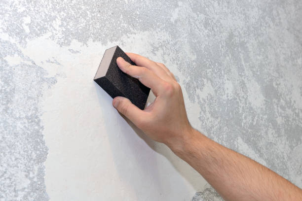 Best Mold Odor Removal Services  in Deming, NM