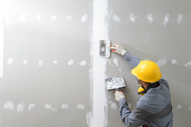 Best Water Damage & Mold Remediation  in Deming, NM