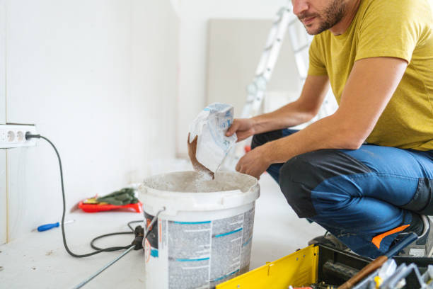 Trusted Deming, NM Mold Removal Experts