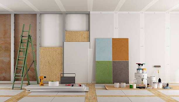 Best Attic Mold Removal  in Deming, NM