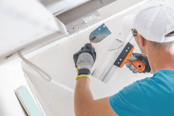 Best Mold Removal for HVAC Installations  in Deming, NM